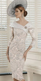 A stunning formal lace mother of the bride dress by Veni Infantino -992106A - Silver and Ice Pink