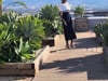 Video of Navy race day dress with structured silhouette for mature women